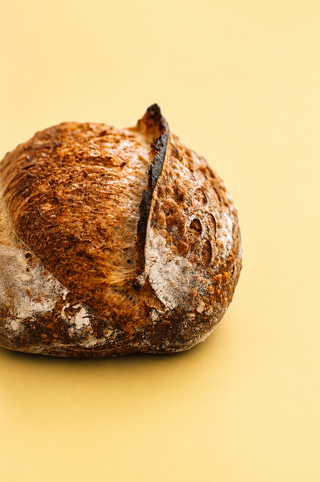 Sourdough